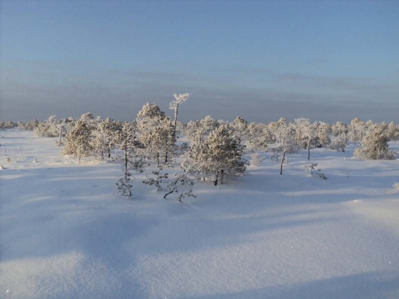 DSC00216.JPG