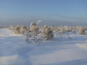DSC00216.JPG