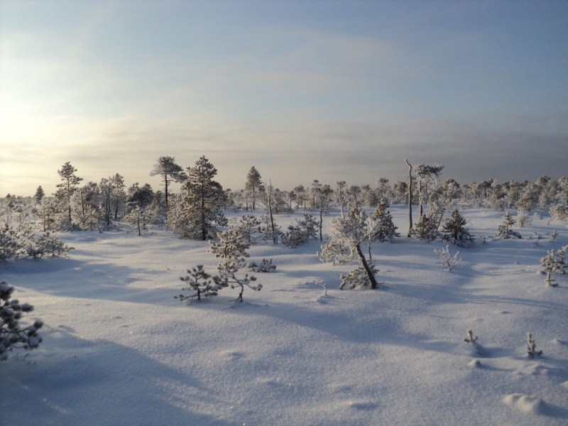DSC00217.JPG