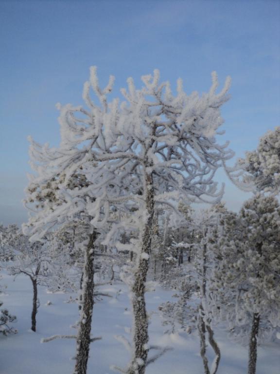 DSC00218.JPG