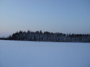 DSC00235.JPG