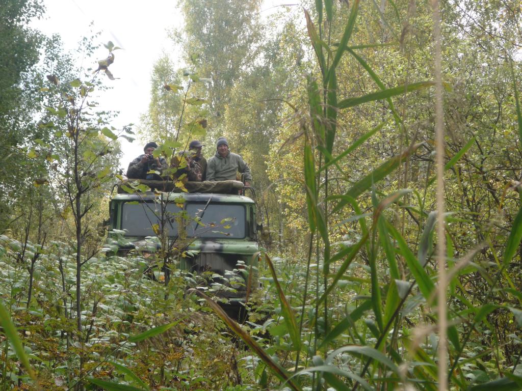 На танкетке прогулка