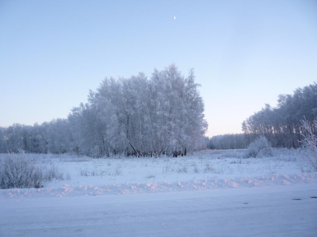 Красота