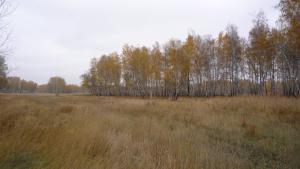 Осень...