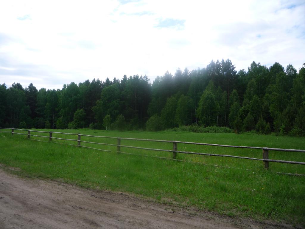 зелень