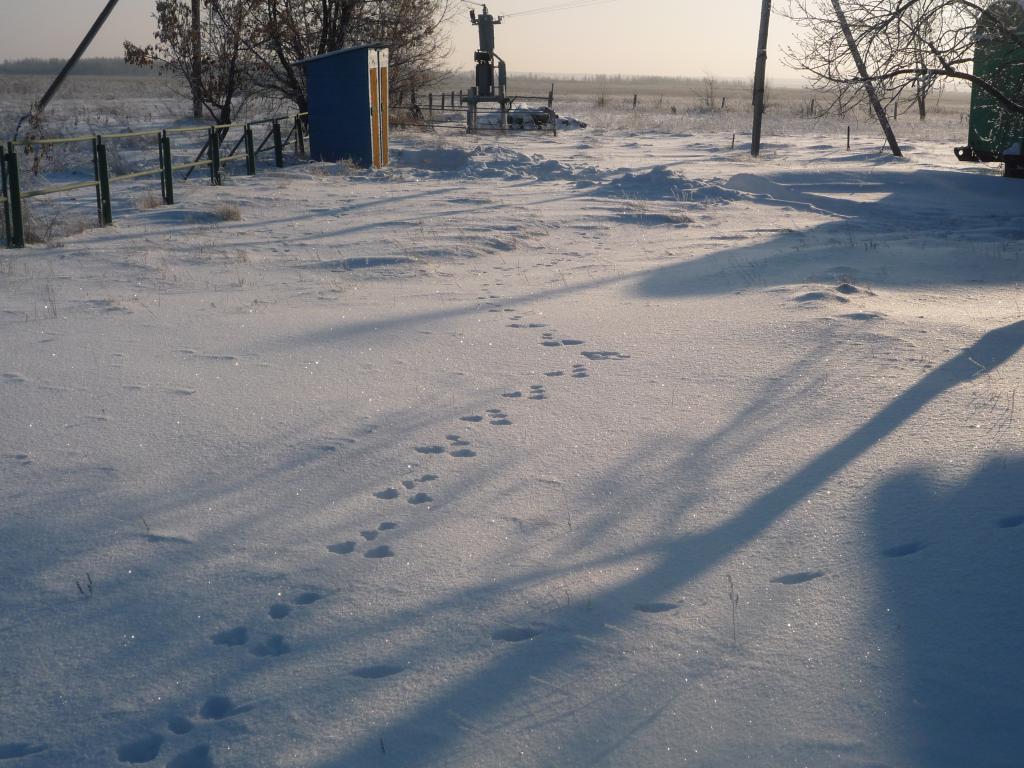 Зайчик бегает по базе