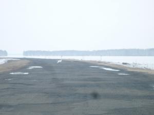 Лебеди