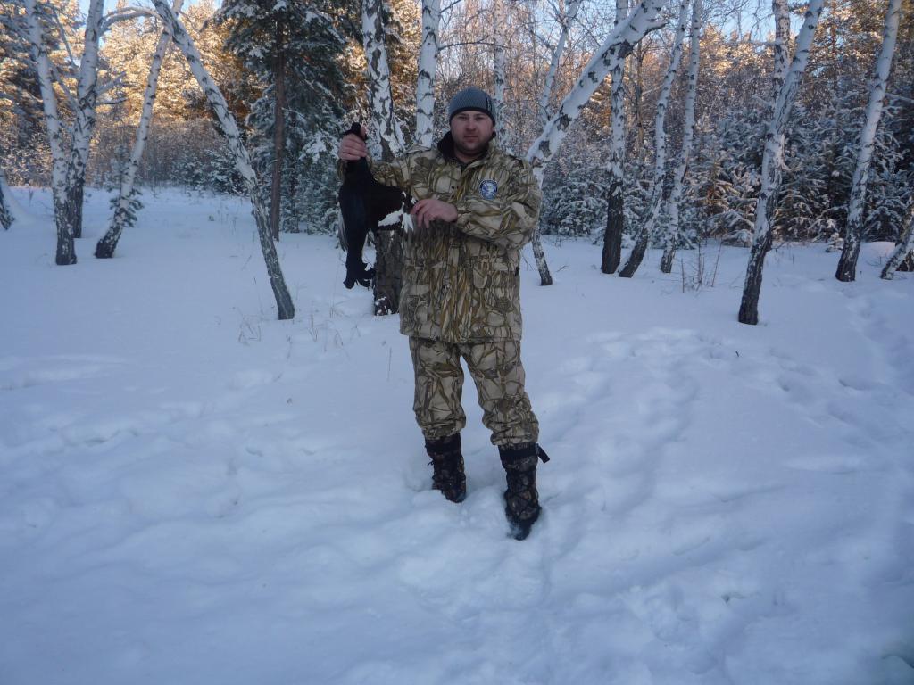 Тетерев