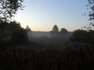 Тевризкий район 20.09.10 - 27.09.10