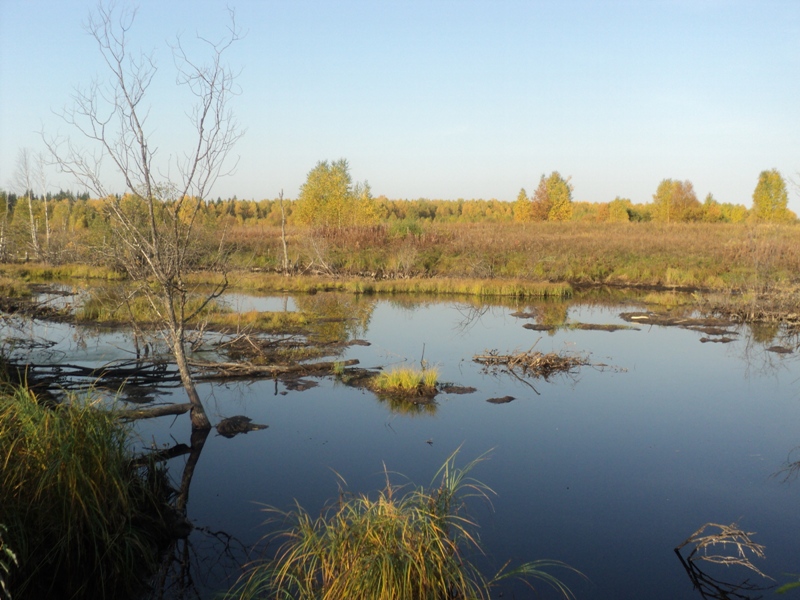 Тевризкий район 20.09.10 - 27.09.10