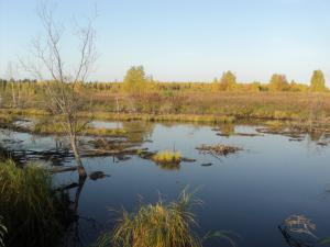 Тевризкий район 20.09.10 - 27.09.10