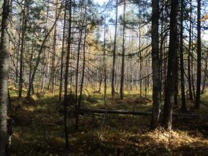 Тевризкий район 20.09.10 - 27.09.10
