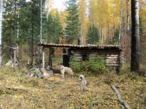 Тевризкий район 20.09.10 - 27.09.10