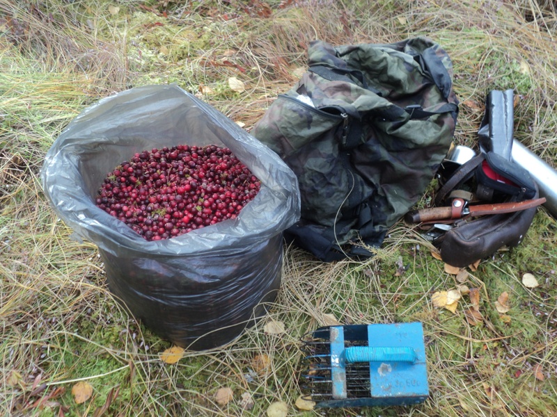 Тевризкий район 20.09.10 - 27.09.10
