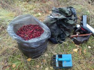 Тевризкий район 20.09.10 - 27.09.10
