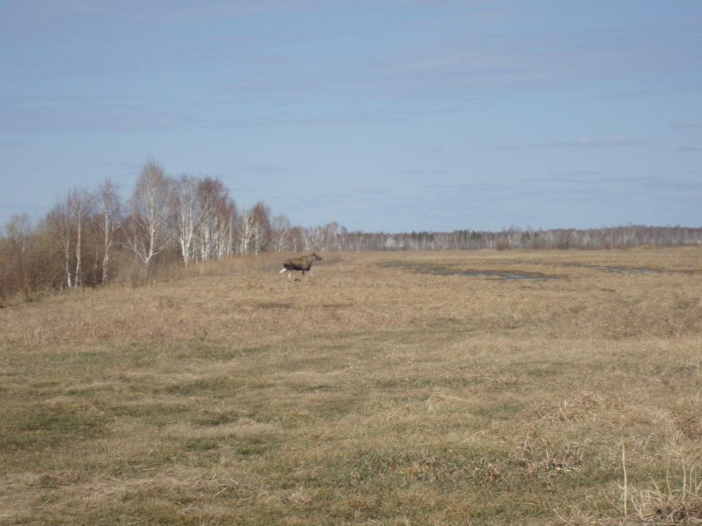 DSC01526