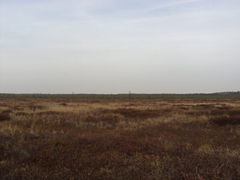 Тевризкий район 20.09.10 - 27.09.10