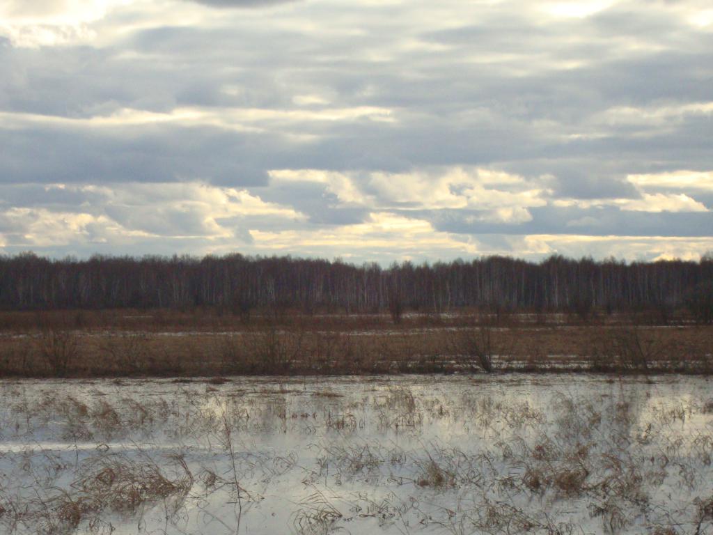 DSC01480