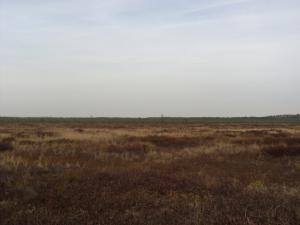 Тевризкий район 20.09.10 - 27.09.10