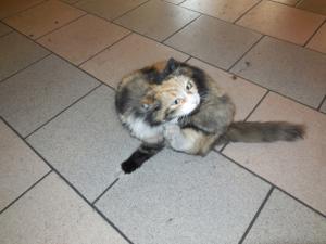 DSCN3487