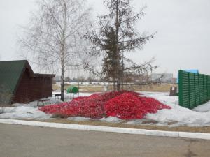 DSCN3583