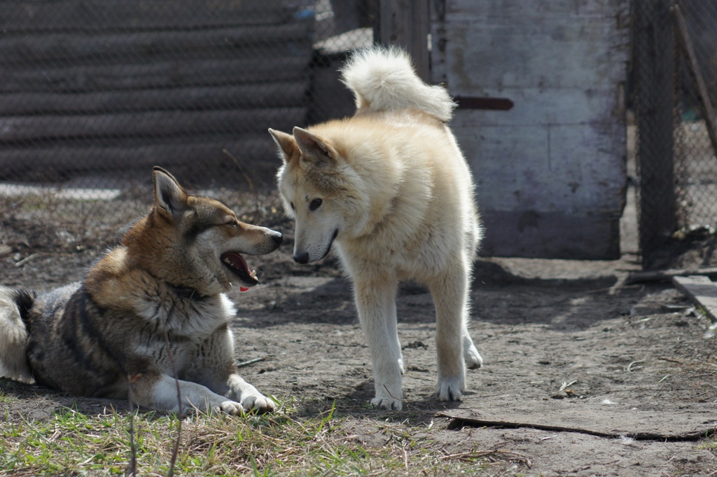 DSC00443.JPG