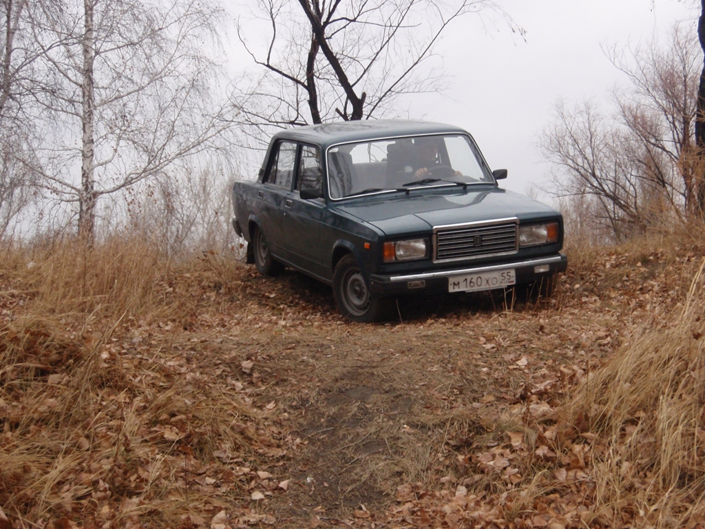 Спуск на берег реки Иртыш.