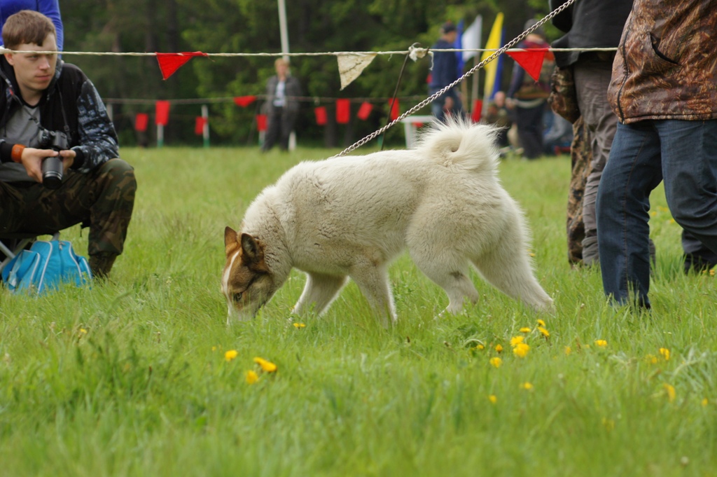 DSC08335.JPG