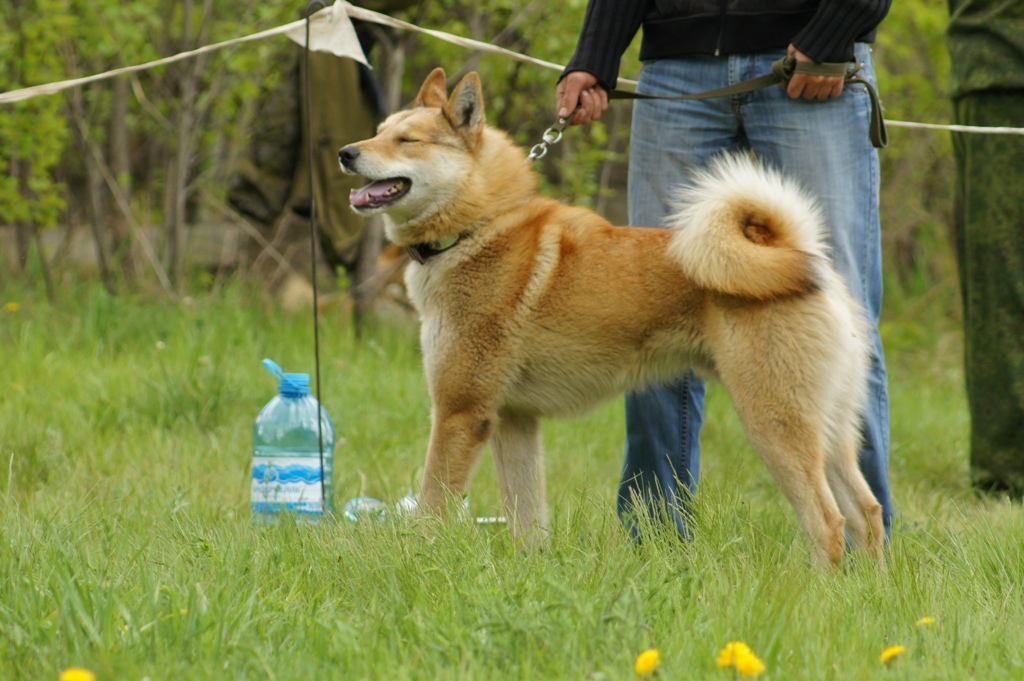 DSC08349.JPG