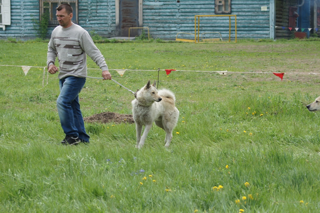 DSC08368.JPG