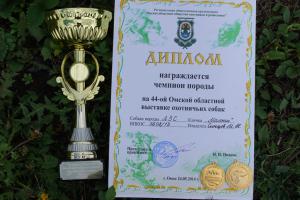 DSC08382.JPG