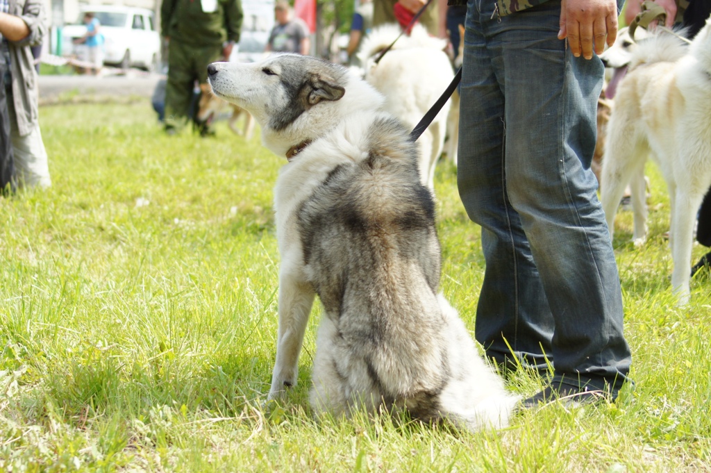 DSC08550.JPG