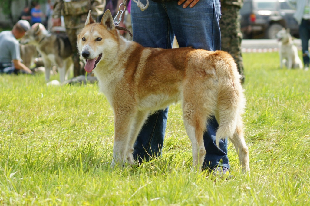 DSC08575.JPG