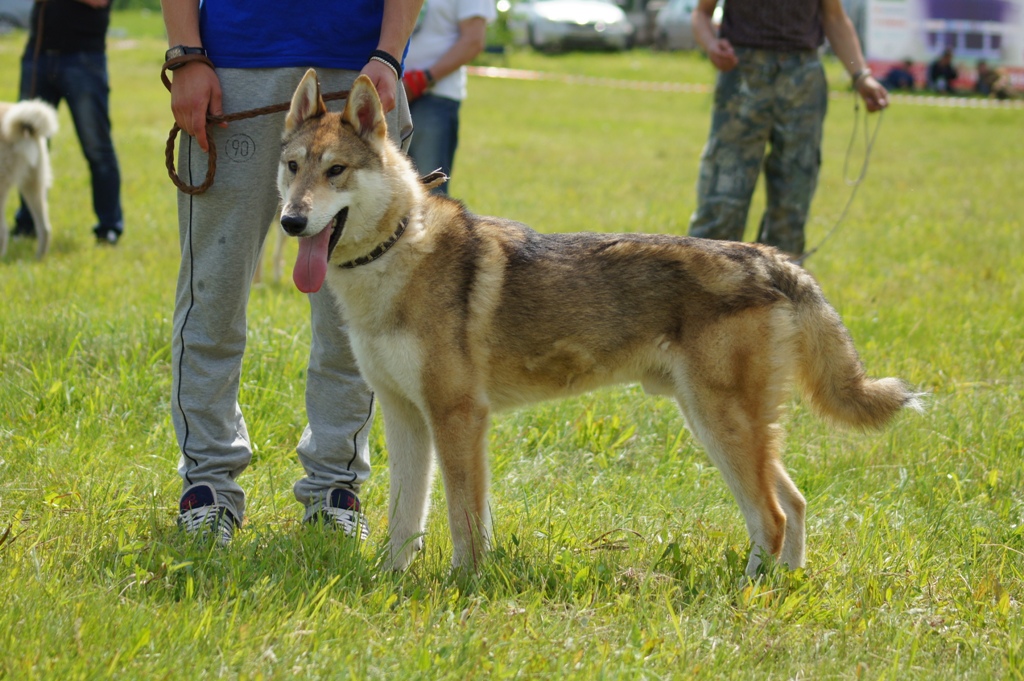 DSC08585.JPG