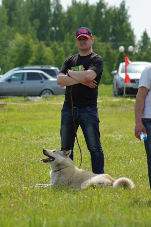 DSC08589.JPG
