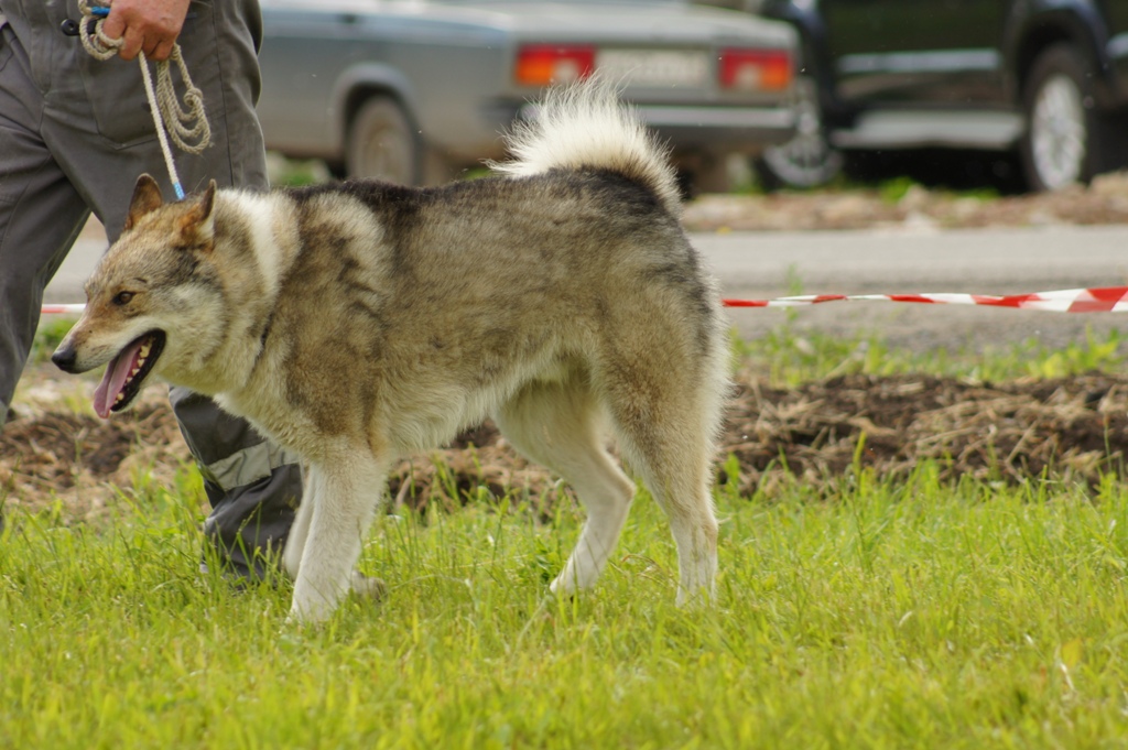 DSC08652.JPG