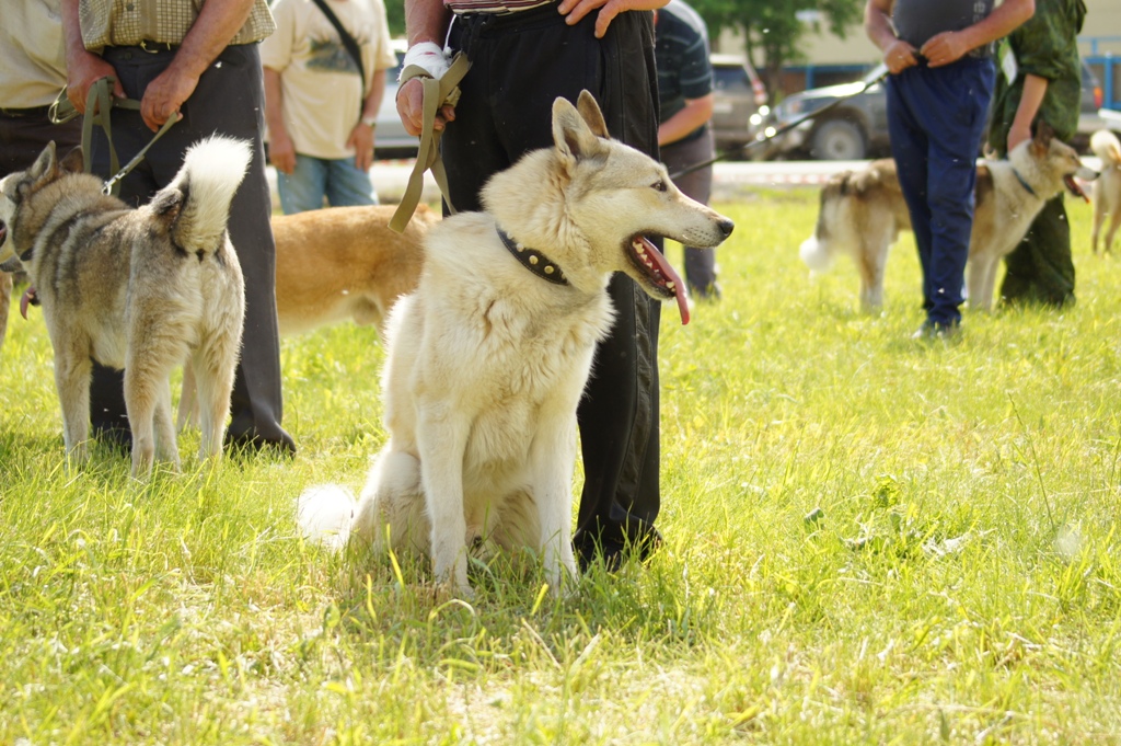 DSC08694.JPG