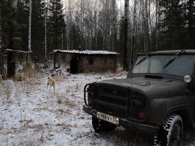 Уже родная, избушка.