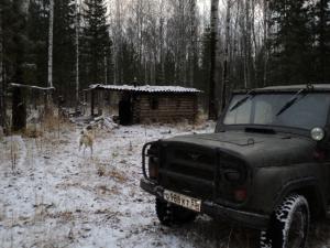 Уже родная, избушка.
