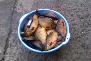 IMAG0408