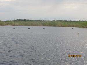 IMG_0869