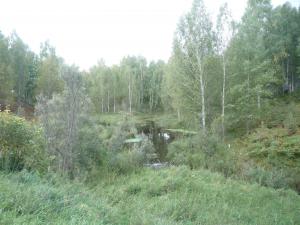 Осень 2014. Тевризский район