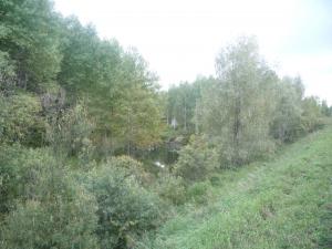 Осень 2014. Тевризский район