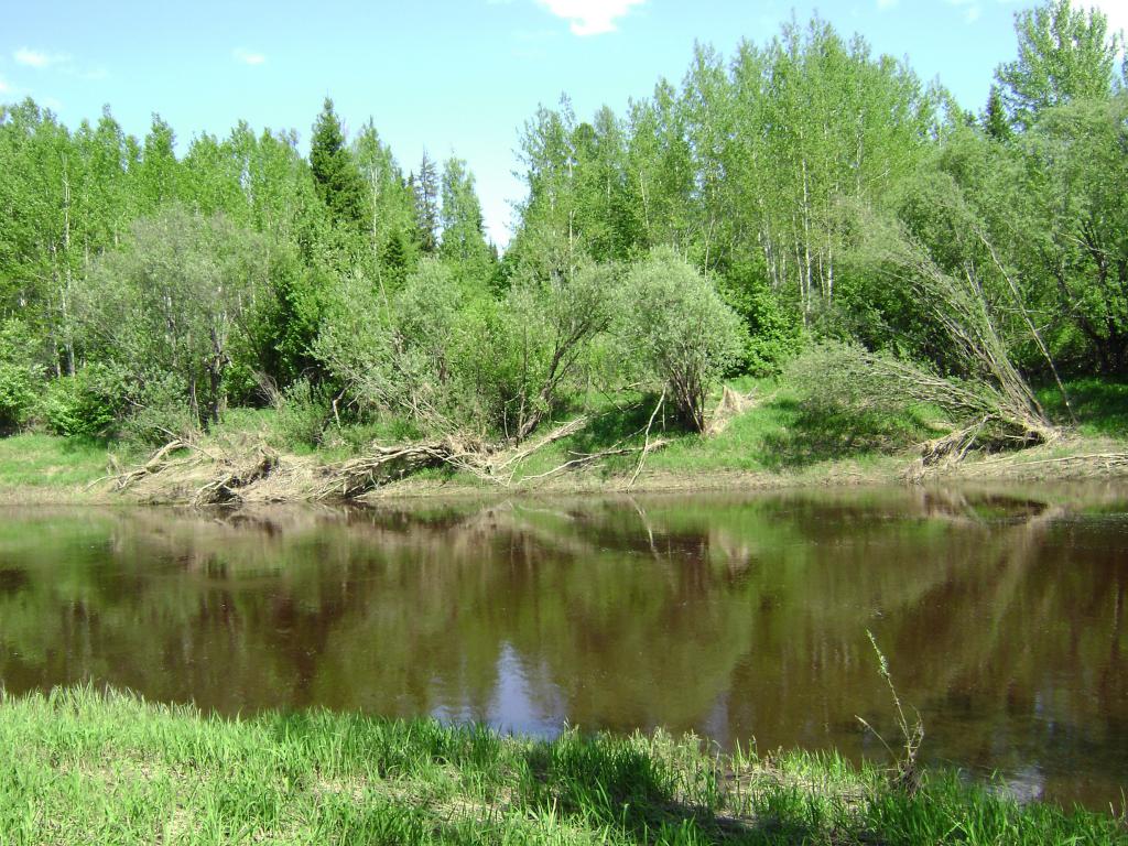 DSC01790