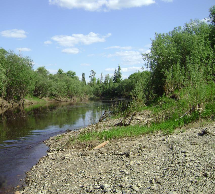 DSC01803