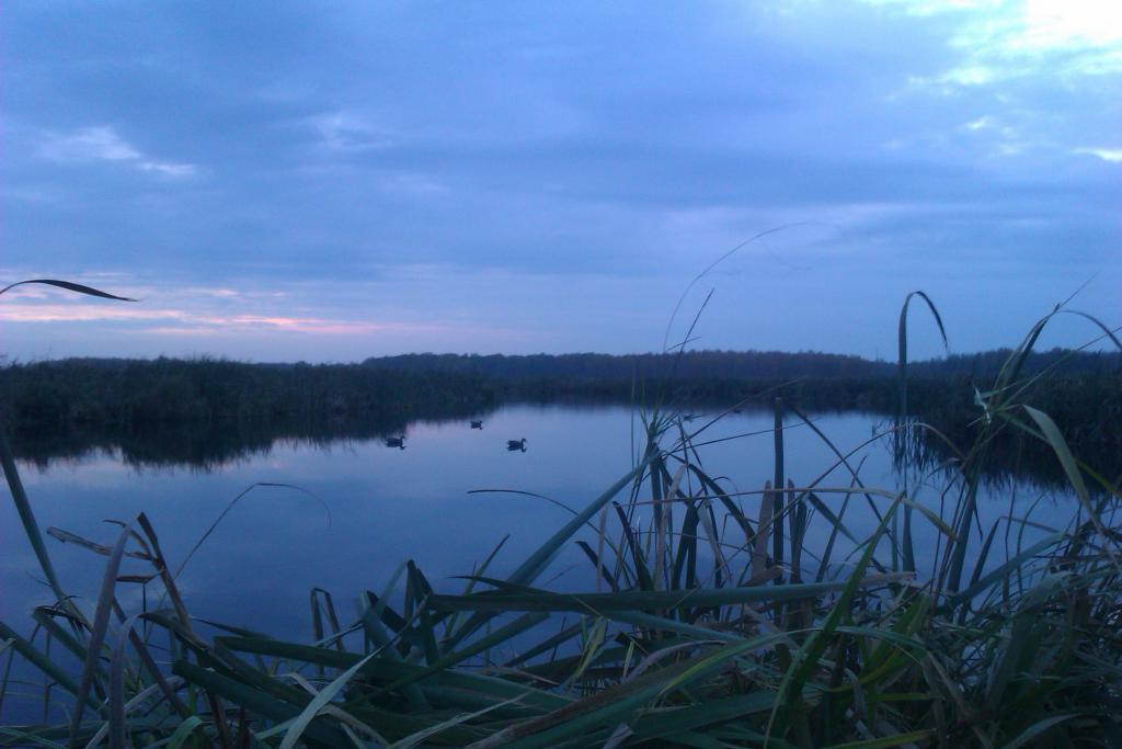IMAG0535