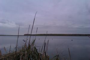IMAG0540