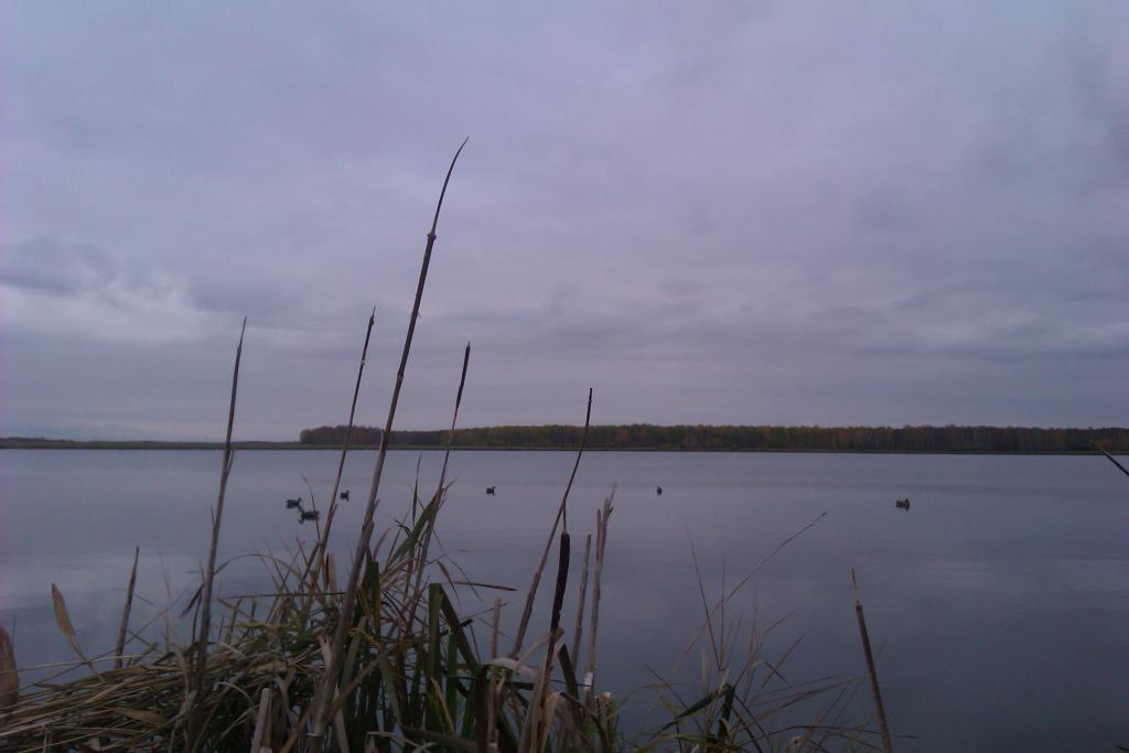 IMAG0540