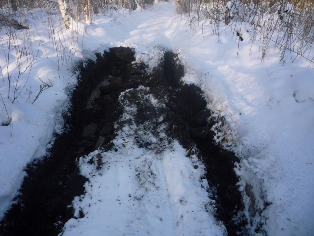 болото есть болото, даже под снегом вода, Муромцево ноябрь 2010г