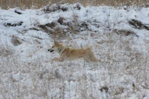 Машка 7 мес